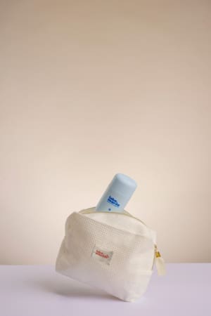 Toiletry bag